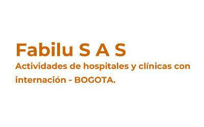 logo-FabiluSAS2-300x113@2x